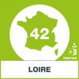 Base SMS département Loire 42